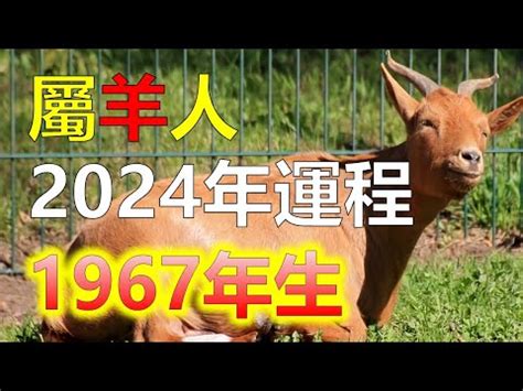 羊年幾歲|屬羊今年幾歲 羊年是民國西元哪幾年